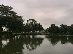 -岭下农庄·农家菜·野生大头鱼·公司团建(福永凤凰山店)