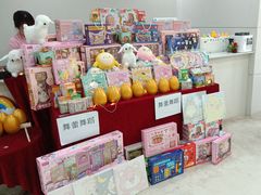 -舞蕾舞蹈(特长生校区)