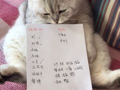 -美联众合动物医院(唯恩分院)