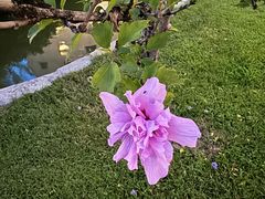 -萨拉伯尔(燕莎友谊商城店)