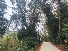 -芦仙山景区-飞越丛林探险乐园