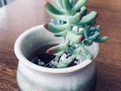 -萨莉亚意式餐厅(国和1000店)