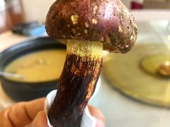 -锦腾轩滇味餐厅