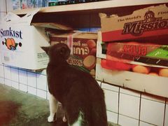 -MIKAKU(万达广场上海宝山店)