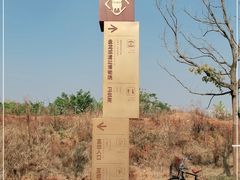 -盘龙城国家考古遗址公园