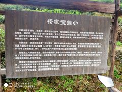 -杨家堂村