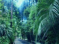 -铁山坪森林公园