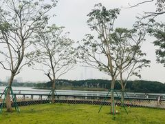 -海珠湖公园