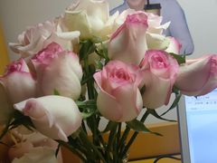 -循礼门鲜花花市(武汉循礼门店)