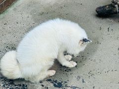 -西安秦岭野生动物园