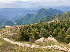 -白草畔自然风景区