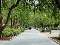 -北京市劳动人民文化宫(太庙)