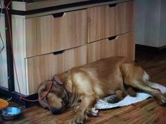 -兰纳泰式spa(古城店)