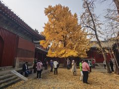 -承恩寺