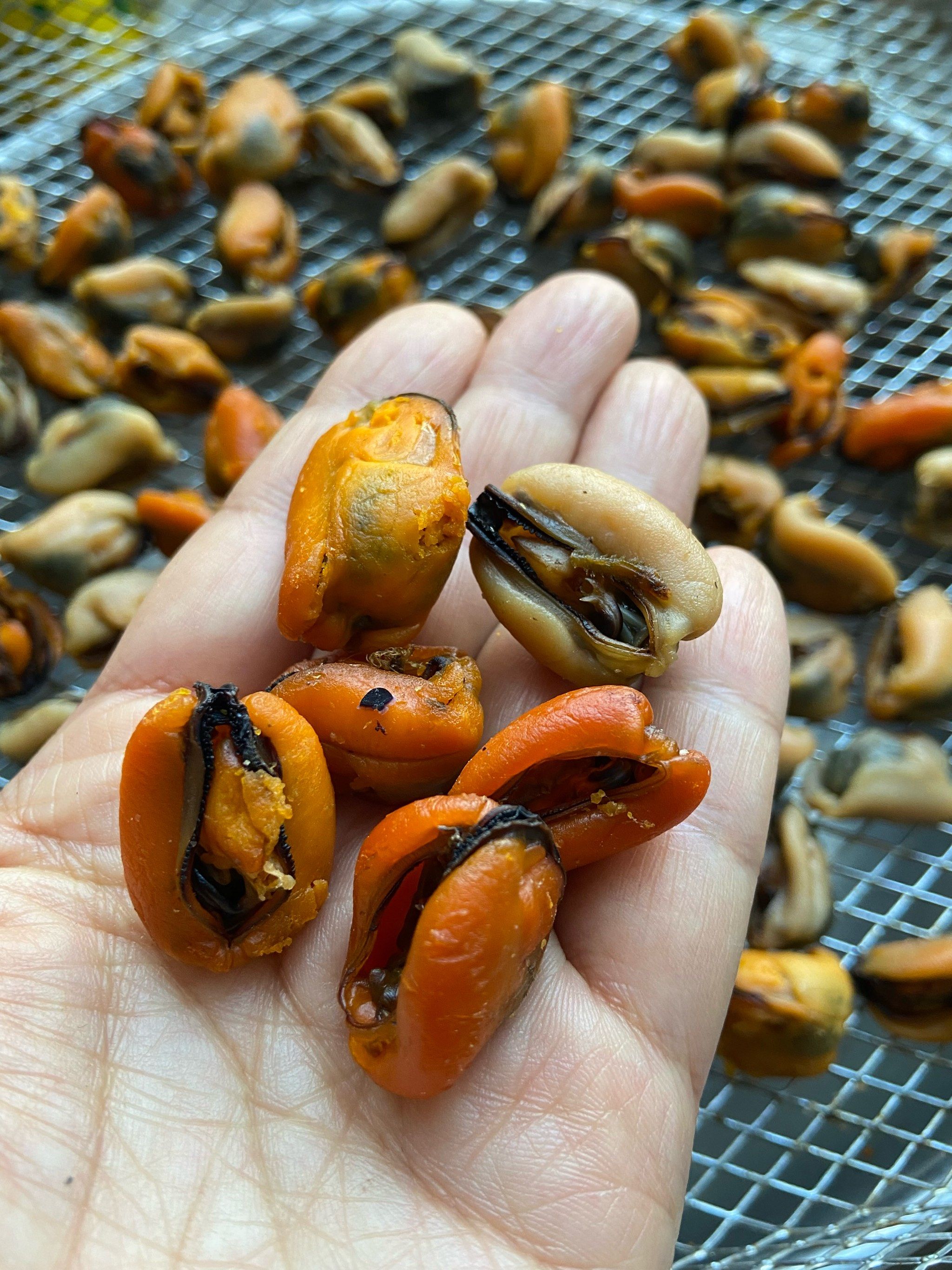 不用晒太阳☀️!用烤箱也能制作好吃的"淡菜"