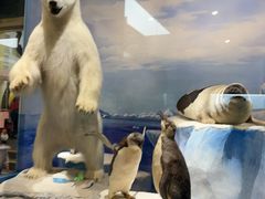 -国家自然博物馆