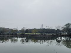 -八卦田遗址公园