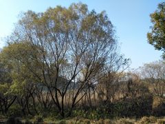 -西湖风景区-江洋畈生态公园