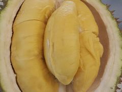 -都念榴莲·城市榴莲