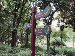 -成都市活水公园