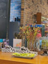 -IDOL-PLUS