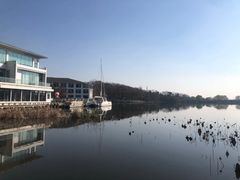 -小火炕铁锅炖鱼