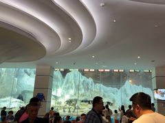 -帝企鹅自助餐厅•儿童岛•真企鹅(长隆企鹅酒店)