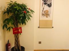 -悦享采耳·洗头头疗·推拿SPA(海沧万科旗舰店)