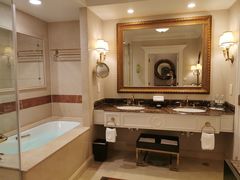 -澳门威尼斯人综合度假区