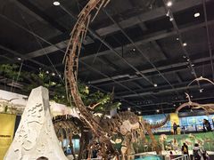 -国家自然博物馆