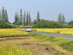 -良渚古城遗址公园