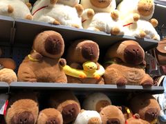 -潮品挚尚(五角场苏宁易购店)