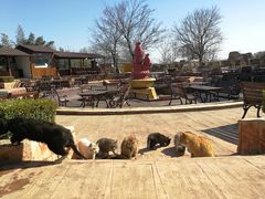 -静之湖湖畔餐厅