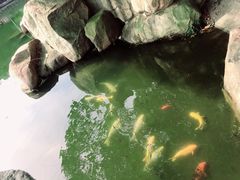 -白马涧龙池景区