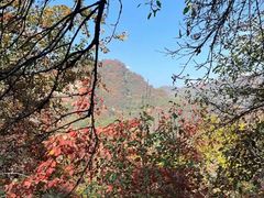 -秦岭风景区