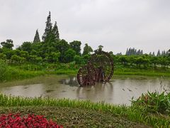 -长田漾湿地公园