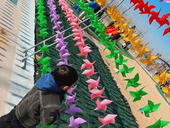 -宿豫区运河湾森林动物园