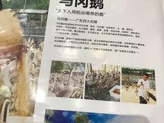-优之名鹅城