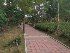 -广东惠东海龟国家级自然保护区