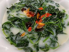 上汤辣椒叶-寻味顺德·珍之宝酒楼(银钻店)