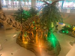 -甘肃地质博物馆