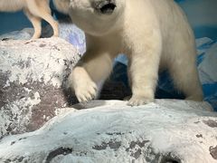 -浙江自然博物院(杭州馆)
