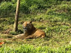-海南热带野生动植物园