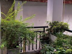 -边渡咖啡烘焙店(昙华林店)
