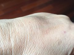 -复旦大学附属华东医院(闵行门诊部)