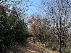 -宝界山林公园