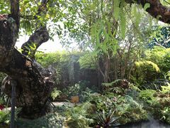 -Chom Cafe and Restaurant