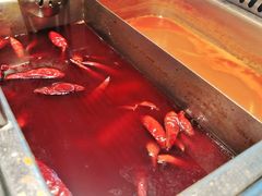 -渡娘火锅(大兴大悦春风里店)