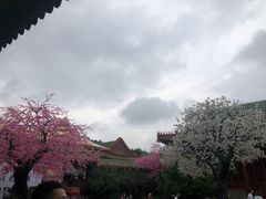 -珠海圆明新园