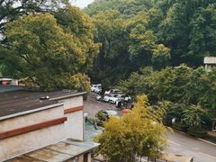 -天怡·鱼工厂(梅溪湖店)